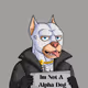 notalphadog