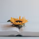 flower2love