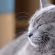 whiskers89