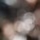 Sparrow_777