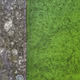 chromate