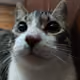 Sanjuuu