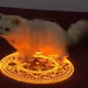 JIANGAA46
