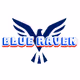BlueRAven_car