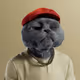 GatoDeBarrio