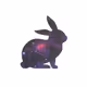 ghynox