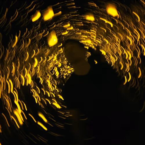 OpenSea profile picture for @Tau