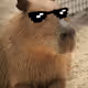 AFakeDegen