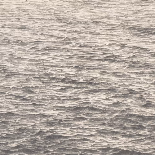 OpenSea profile picture for @waves