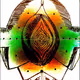 Heera7