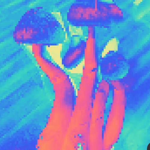OpenSea profile picture for @Roger2
