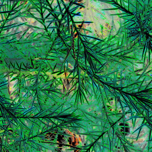 OpenSea banner for @Lunch