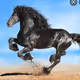 LobCityStables