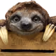 bossiewossie