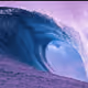 0xc3d212ebc0f4c61edb57ffc400b6322c7132915b