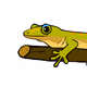 GeckoKing