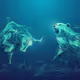 Cryptogame_