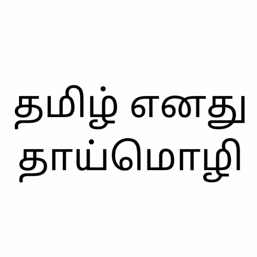 OpenSea profile picture for @Tamil