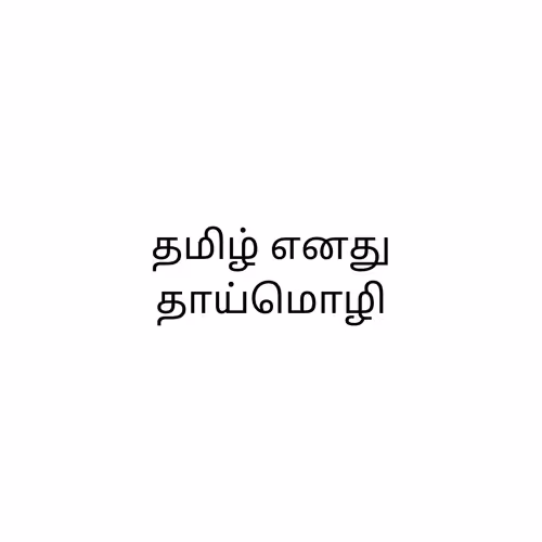 OpenSea banner for @Tamil