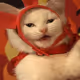 NikkitaXo