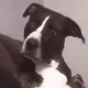 Sacoma