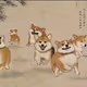 EightCorgi