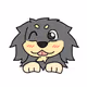 kakeru