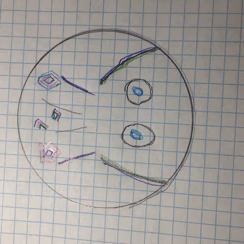 OpenSea profile picture for @Minding