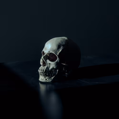 OpenSea profile picture for @sdk