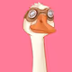 SillyGoose_NFT