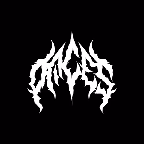 OpenSea profile picture for @paces