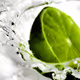 lime_discordial_2