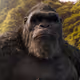 KONG69
