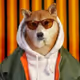 HipDoge