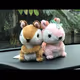 Squirrel_Bear