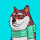 0xc52add27d20124fdf00f57cb8fe6895c182363e5