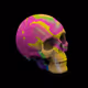 Skulls-By-Pierre