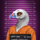 1j0k