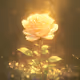 renoirbluehappy