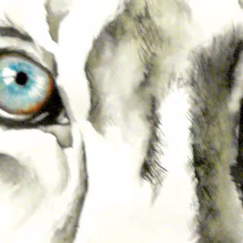 OpenSea banner for @Jonel