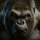 King_Kong_King_of_Apes