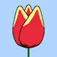 TulipZero