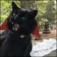 MrVampurr