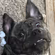 Nichiiii