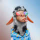 simiao_maverick
