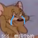 31355.eth