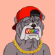 Shuma5