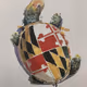 DavidMD