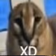 0xfloppaa