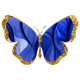 NeoWild